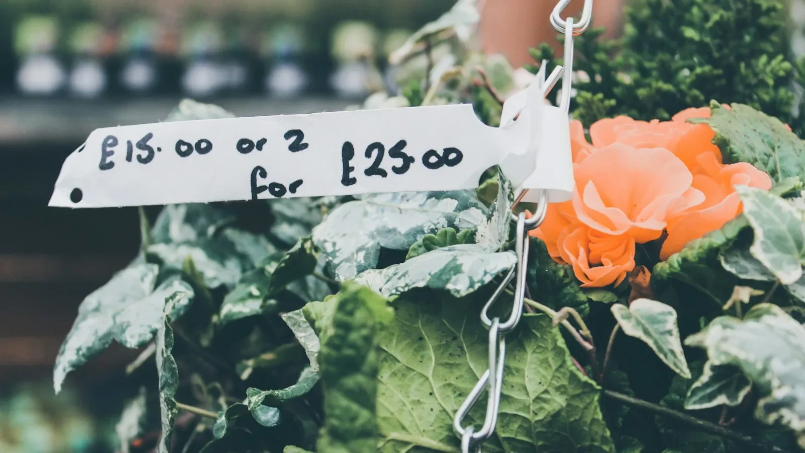 Small business owner examining a supplier price increase notice