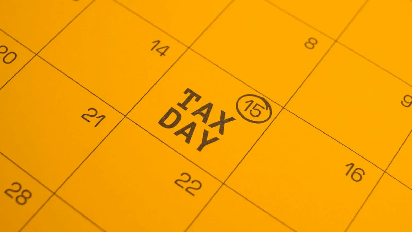 Small business owner reviewing payroll tax forms and EFTPS confirmation in September 2026
